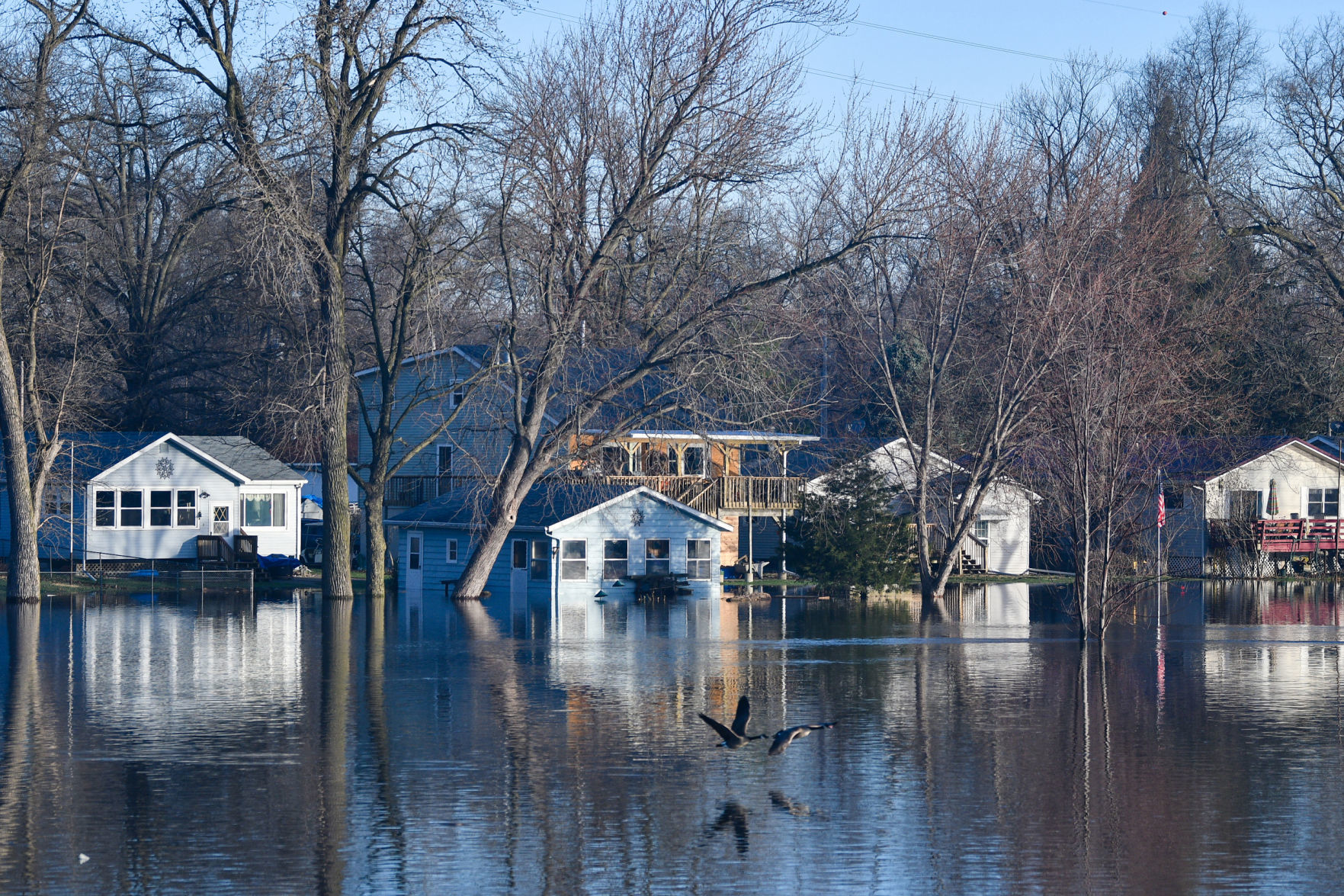 Flooding on Campbell's Island